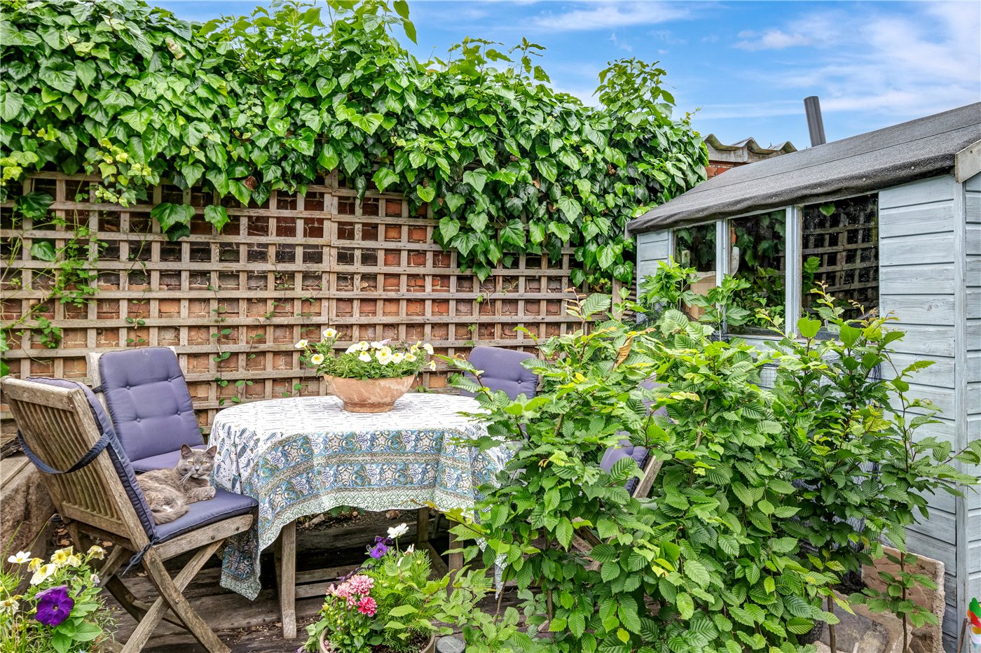 Garden